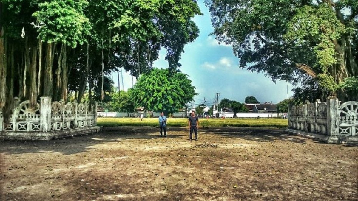Beringin Pohon Kehidupan, Bukan Pohon Keramat